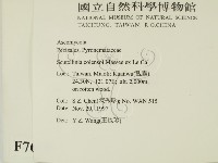 登錄號:F0007699藏品圖，第2張