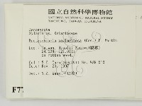 登錄號:F0007700藏品圖，第2張