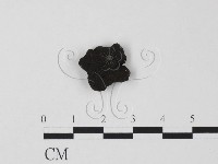 登錄號:F0007700藏品圖，第1張