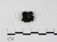 登錄號:F0007700藏品圖，第3張