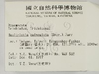 登錄號:F0007702藏品圖，第2張