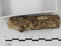 登錄號:F0007702藏品圖，第3張