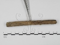 登錄號:F0007703藏品圖，第3張