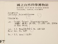 登錄號:F0007704藏品圖，第2張