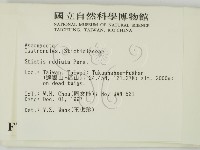 登錄號:F0007705藏品圖，第2張