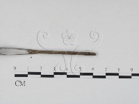 登錄號:F0007705藏品圖，第3張