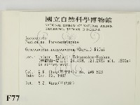 登錄號:F0007706藏品圖，第2張