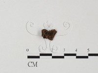 登錄號:F0007706藏品圖，第1張