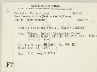 登錄號:F0007707藏品圖，第2張