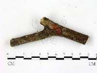 登錄號:F0007708藏品圖，第1張