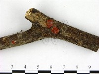 登錄號:F0007708藏品圖，第3張