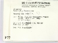 登錄號:F0007709藏品圖，第2張