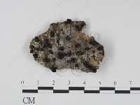 登錄號:F0007710藏品圖，第1張