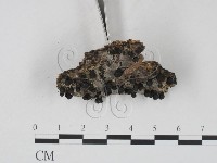 登錄號:F0007710藏品圖，第3張