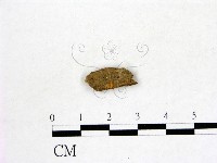 登錄號:F0007711藏品圖，第1張