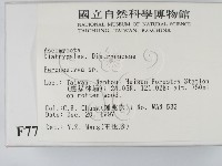 登錄號:F0007714藏品圖，第2張