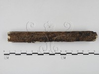 登錄號:F0007714藏品圖，第1張