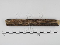 登錄號:F0007714藏品圖，第3張