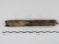 登錄號:F0007714藏品圖，第4張