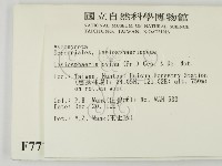 登錄號:F0007715藏品圖，第2張