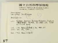 登錄號:F0007716藏品圖，第2張