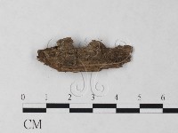 登錄號:F0007716藏品圖，第1張