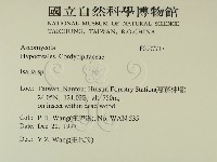 登錄號:F0007717藏品圖，第2張