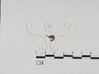 登錄號:F0007717藏品圖，第3張