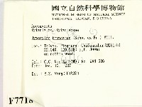 登錄號:F0007718藏品圖，第2張