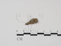 登錄號:F0007720藏品圖，第1張