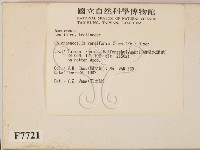 登錄號:F0007721藏品圖，第2張