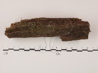 登錄號:F0007721藏品圖，第1張