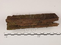 登錄號:F0007721藏品圖，第3張