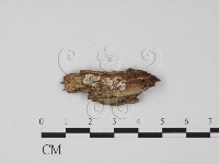 登錄號:F0007722藏品圖，第3張