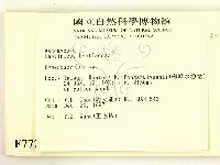 登錄號:F0007724藏品圖，第2張