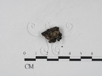 登錄號:F0007726藏品圖，第3張