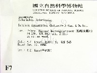 登錄號:F0007727藏品圖，第2張