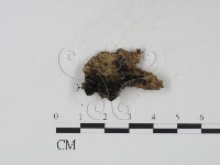 登錄號:F0007730藏品圖，第1張