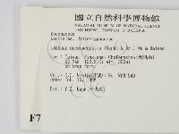 登錄號:F0007731藏品圖，第2張