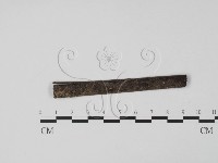 登錄號:F0007731藏品圖，第1張