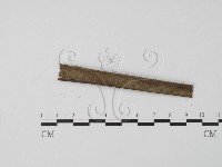 登錄號:F0007731藏品圖，第3張