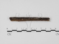 登錄號:F0007732藏品圖，第1張