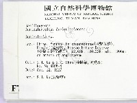木耳屬藏品圖，第2張