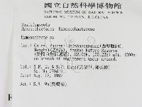 刺革菌屬藏品圖，第2張