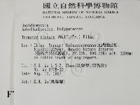 登錄號:F0007742藏品圖，第2張