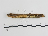 登錄號:F0007744藏品圖，第1張