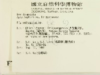 登錄號:F0007746藏品圖，第2張