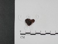 登錄號:F0007747藏品圖，第1張