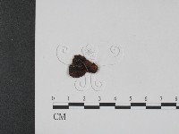 登錄號:F0007747藏品圖，第3張