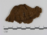 登錄號:F0007748藏品圖，第1張